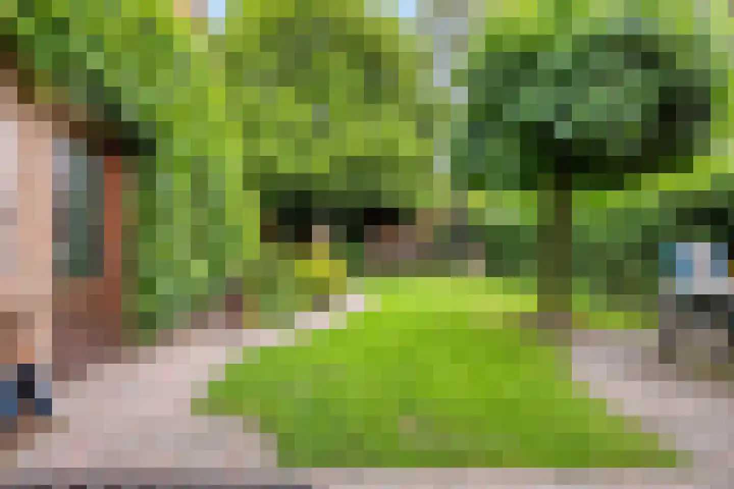 De Mortel 10 Hooge Mierde thumbnail 4