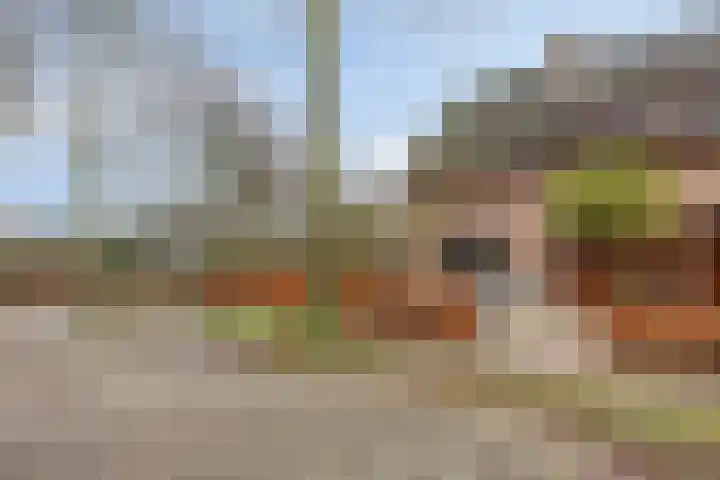 De Mortel 10 Hooge Mierde thumbnail 4