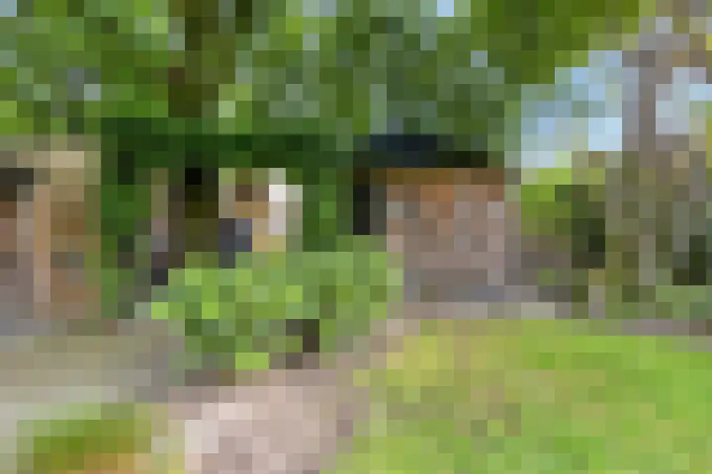 De Mortel 10 Hooge Mierde thumbnail 40