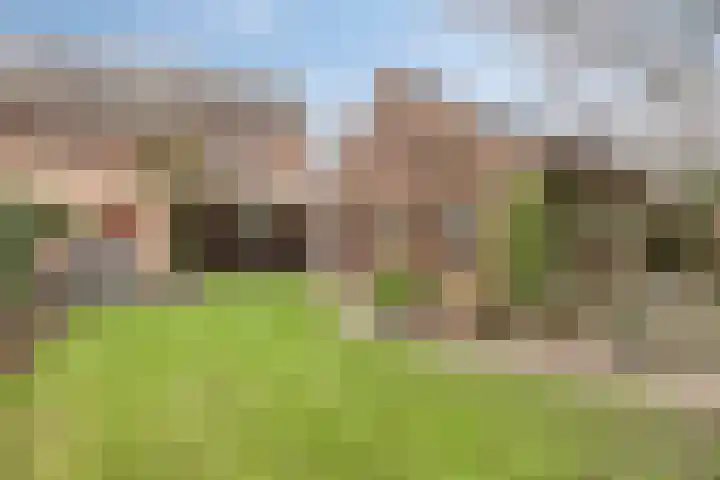 De Mortel 10 Hooge Mierde thumbnail 41