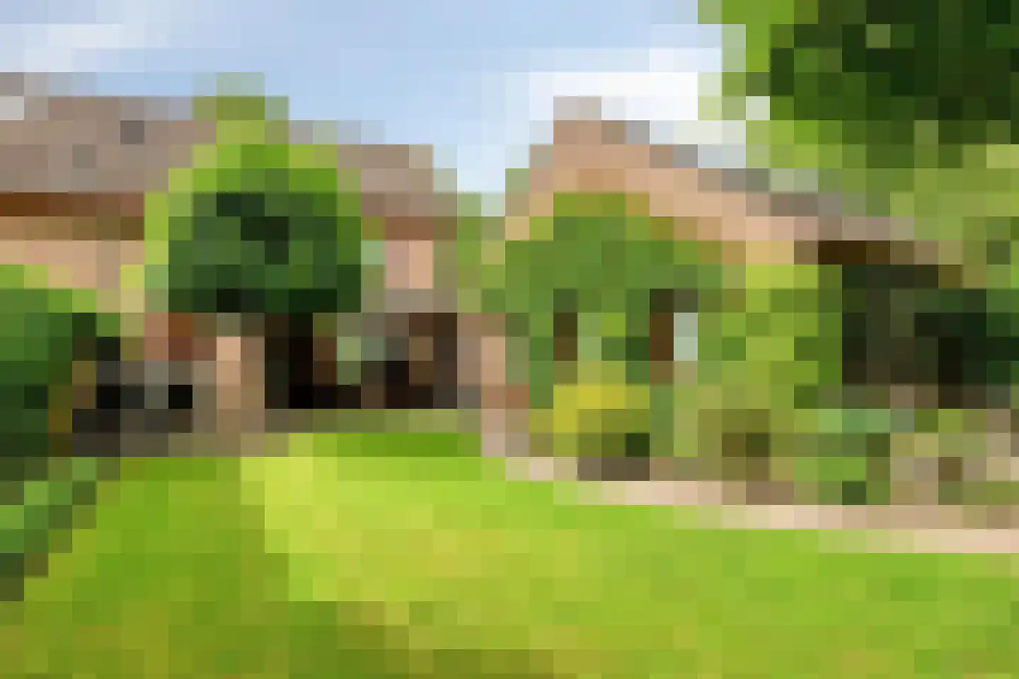 De Mortel 10 Hooge Mierde thumbnail 42