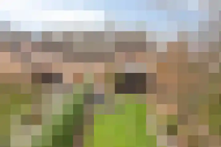 De Mortel 10 Hooge Mierde thumbnail 43