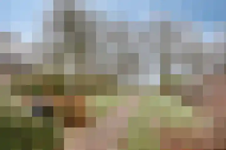 De Mortel 10 Hooge Mierde thumbnail 45