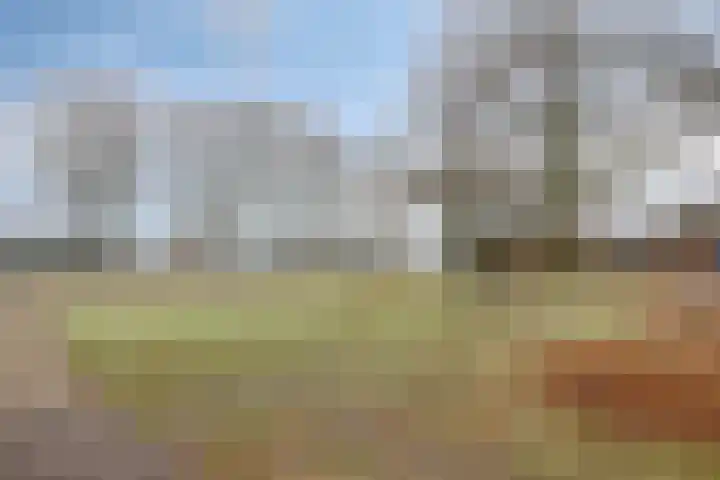 De Mortel 10 Hooge Mierde thumbnail 46
