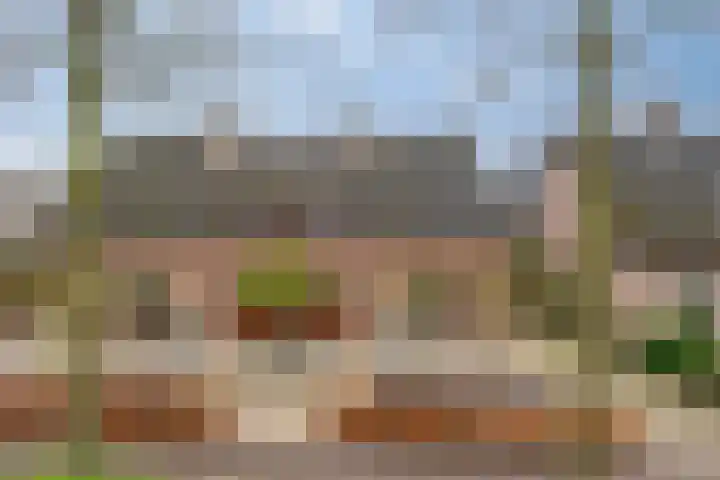 De Mortel 10 Hooge Mierde thumbnail 48
