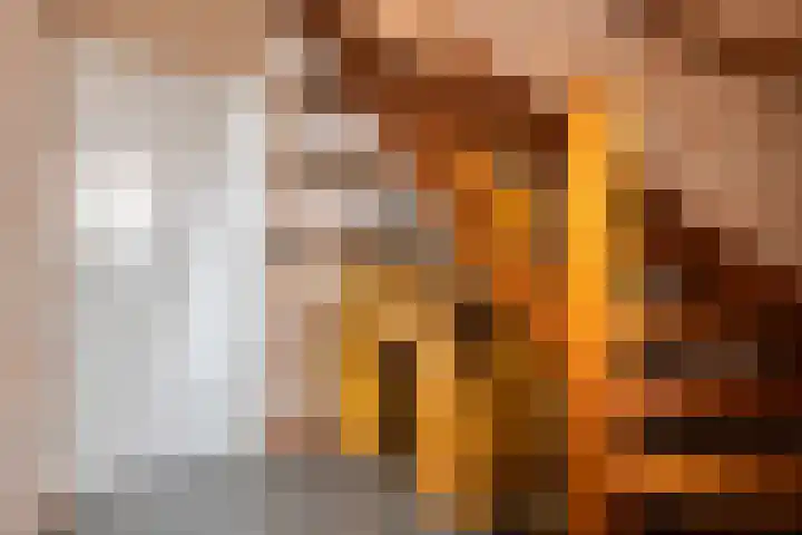 De Mortel 10 Hooge Mierde thumbnail 5