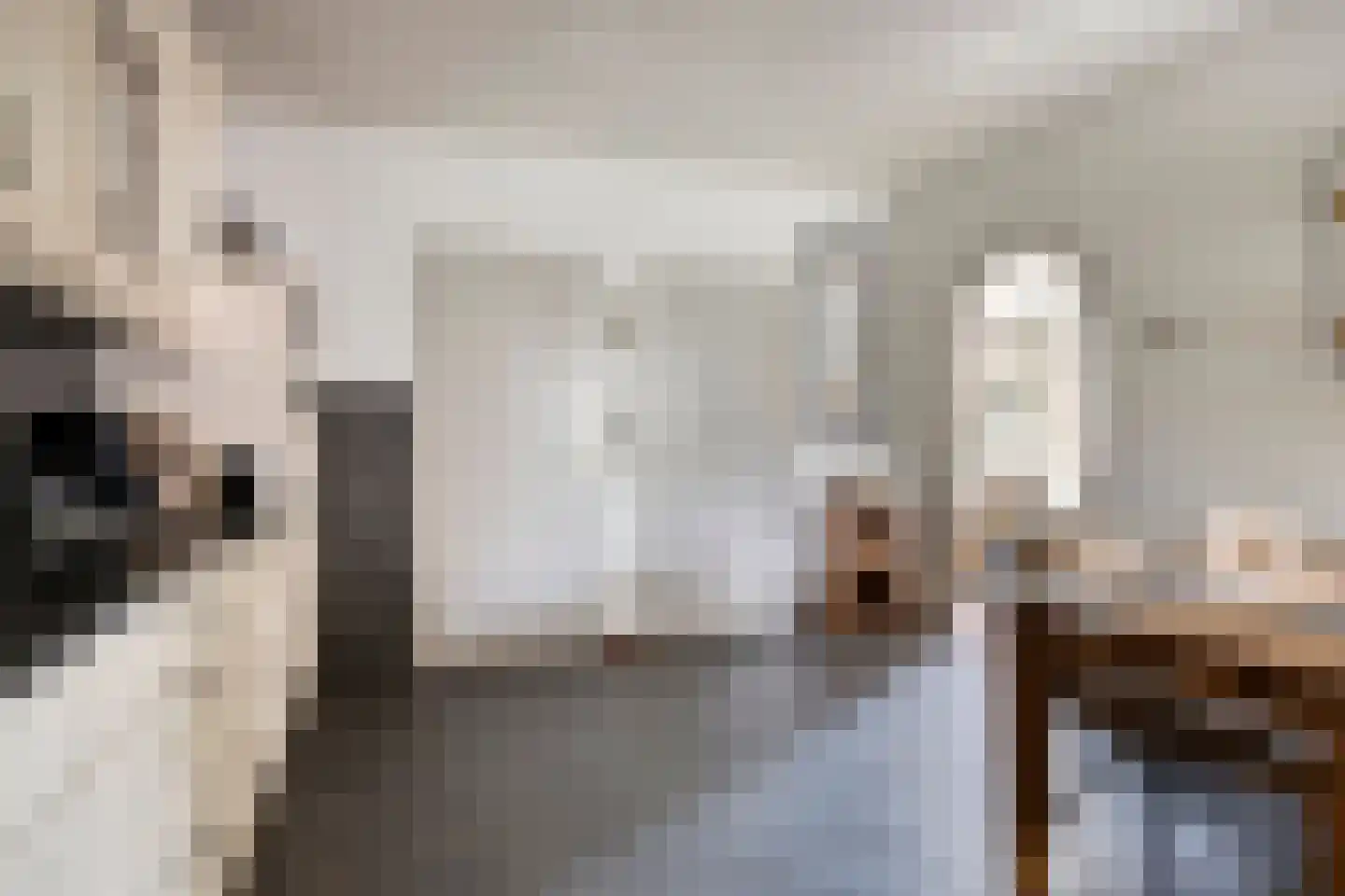 De Mortel 10 Hooge Mierde thumbnail 9