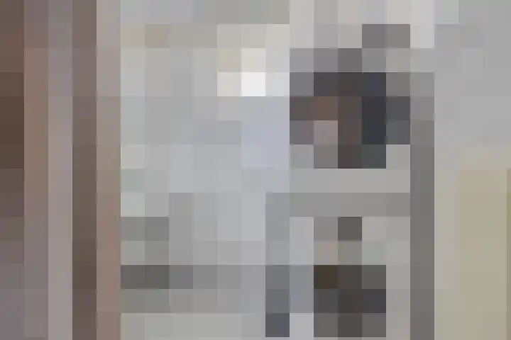 De Mortelkes 9 Erp thumbnail 14