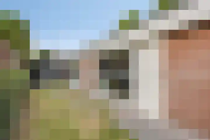 De Mortelkes 9 Erp thumbnail 19