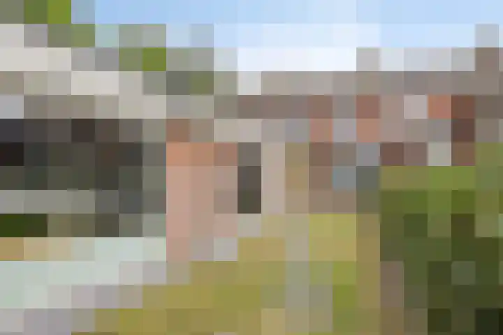 De Mortelkes 9 Erp thumbnail 20