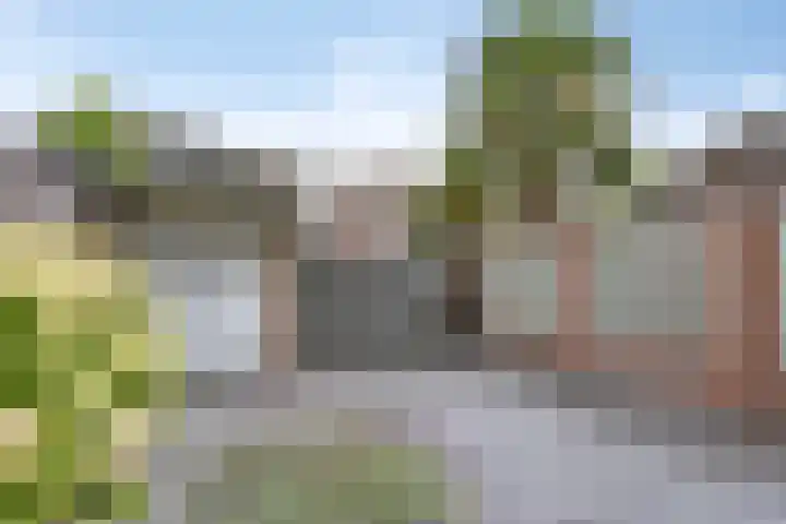 De Mortelkes 9 Erp thumbnail 22
