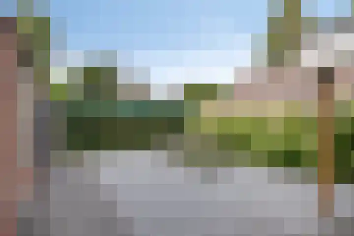 De Mortelkes 9 Erp thumbnail 23