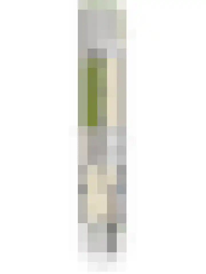 De Mortelkes 9 Erp thumbnail 26