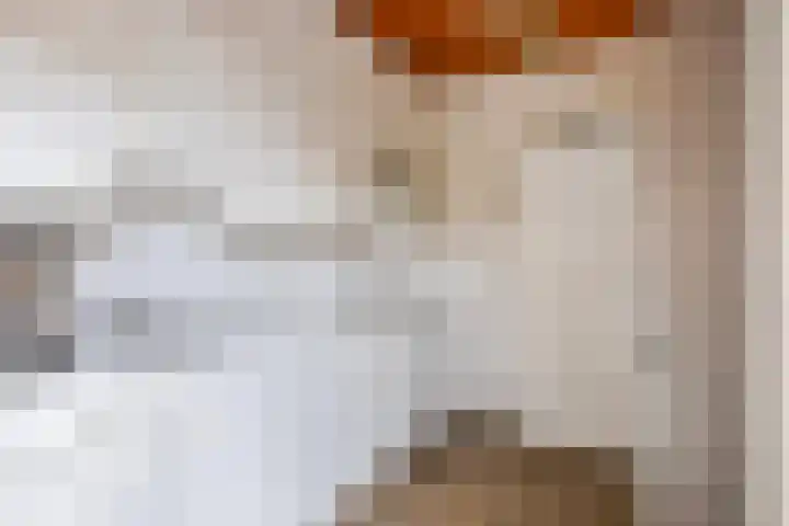 De Mortelkes 9 Erp thumbnail 9