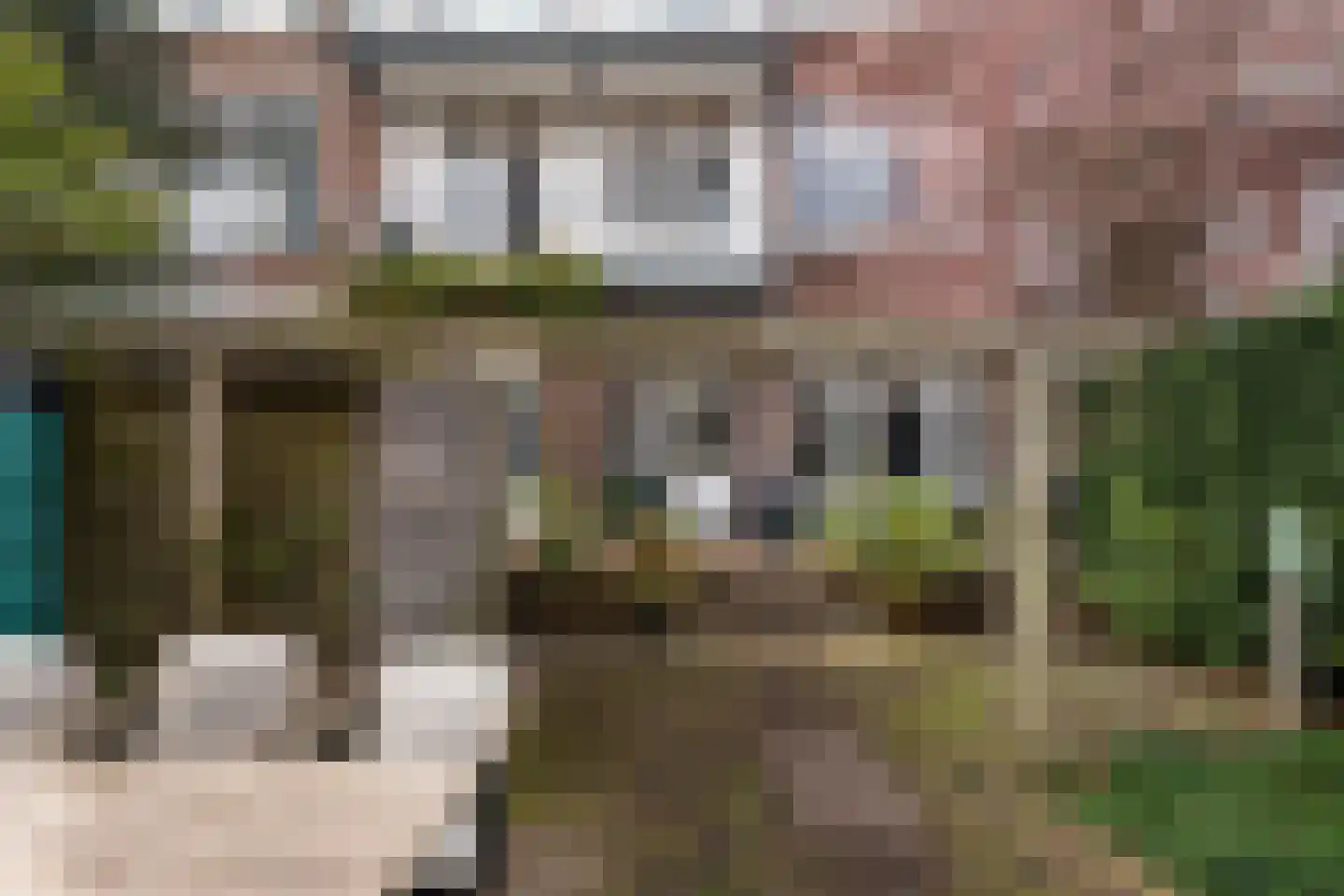 De Moucheronstraat 26 Den Haag thumbnail 25