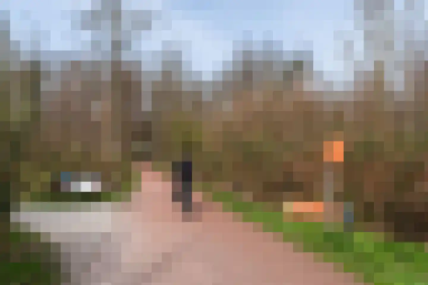 De Moucheronstraat 26 Den Haag thumbnail 34