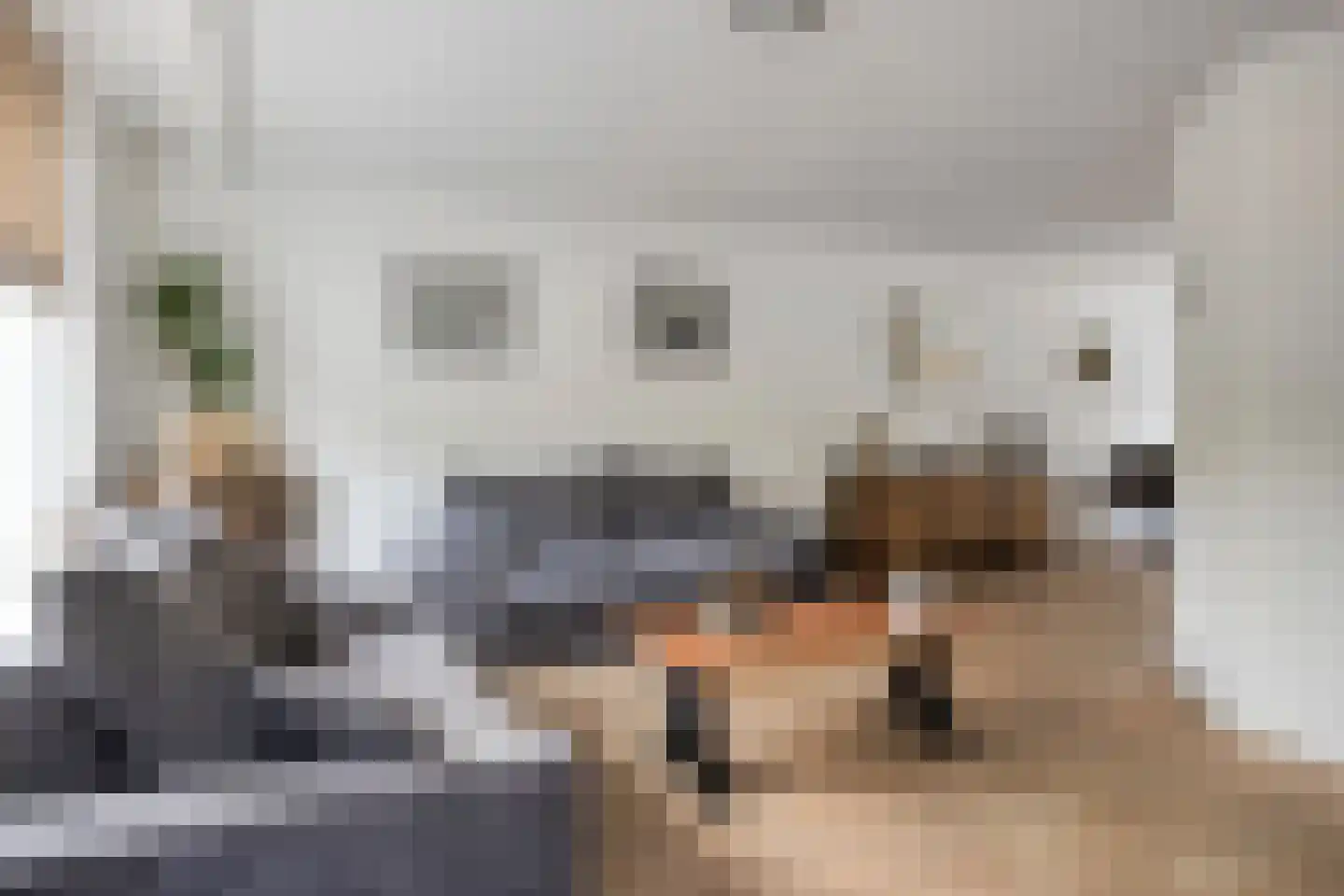 De Mudde 8 Steenbergen thumbnail 11