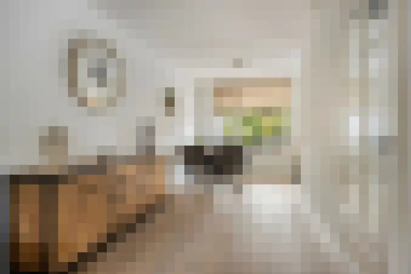 De Mudde 8 Steenbergen thumbnail 13