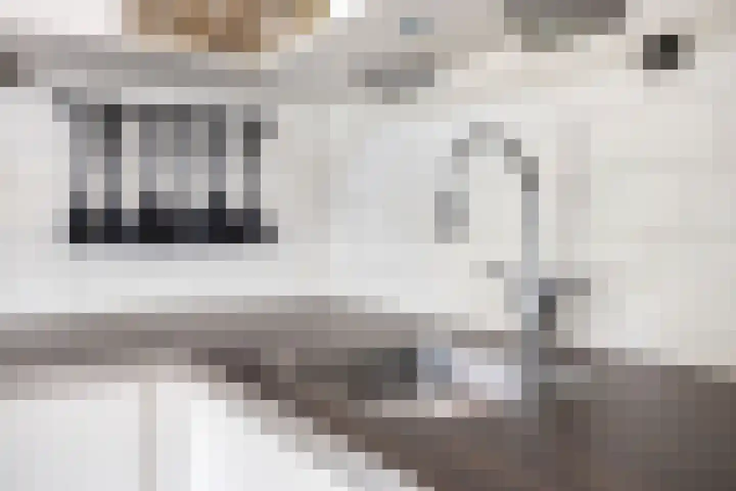 De Mudde 8 Steenbergen thumbnail 16