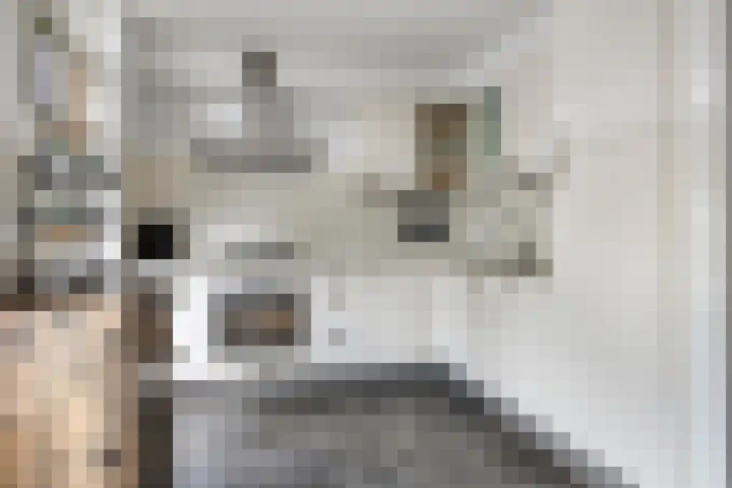 De Mudde 8 Steenbergen thumbnail 17