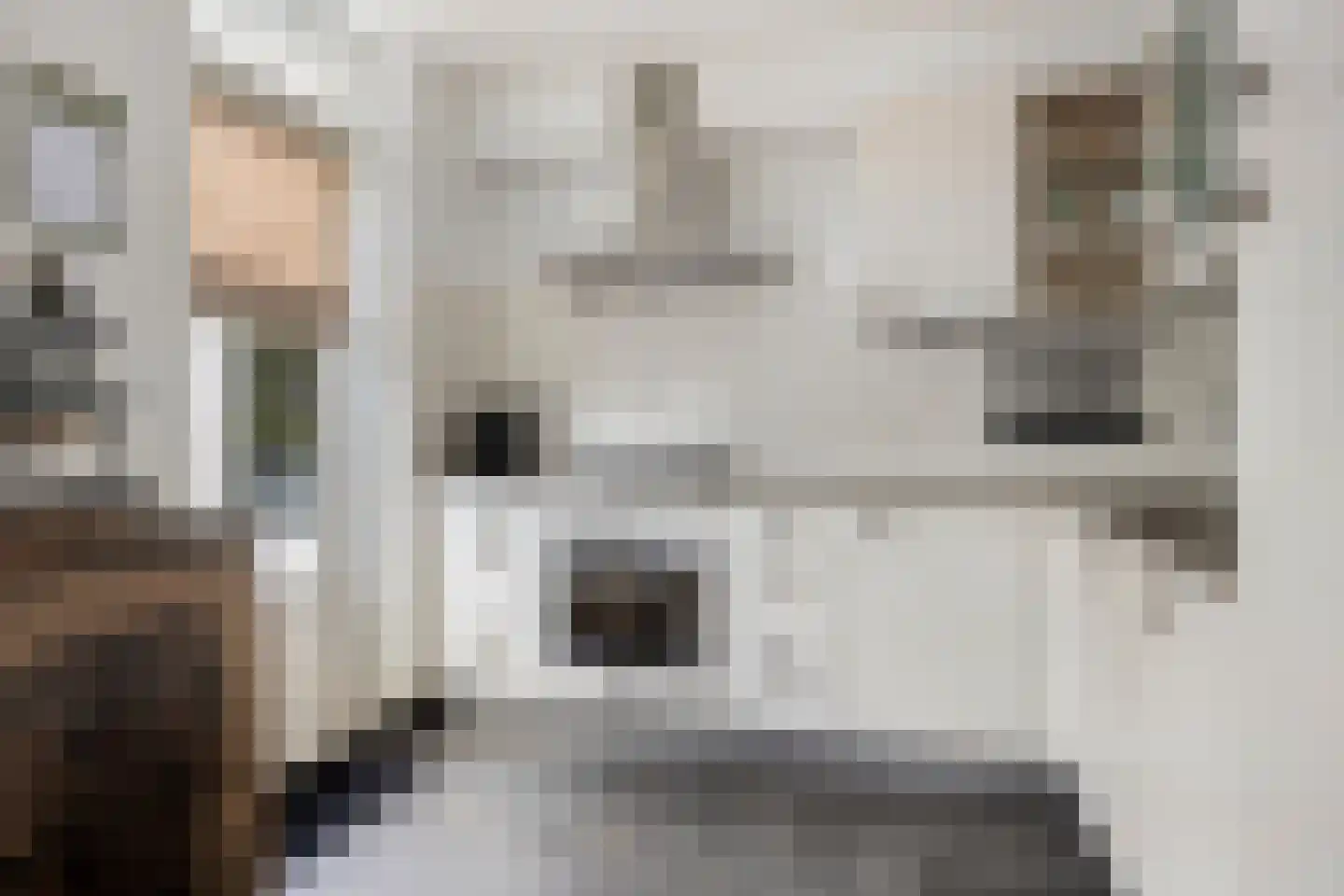 De Mudde 8 Steenbergen thumbnail 18