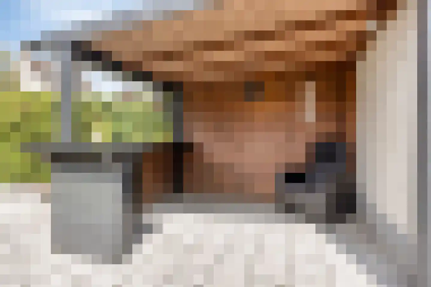 De Mudde 8 Steenbergen thumbnail 32