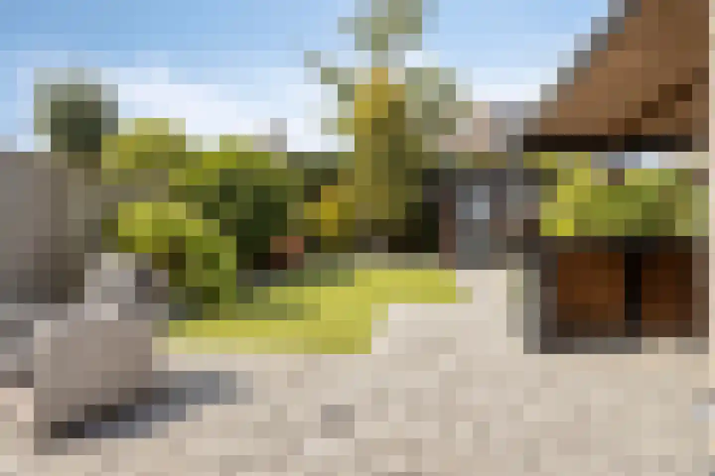 De Mudde 8 Steenbergen thumbnail 34