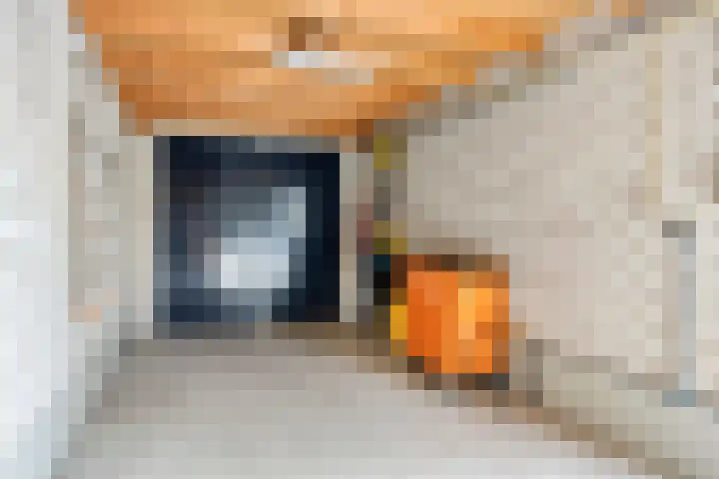 De Mudde 8 Steenbergen thumbnail 36