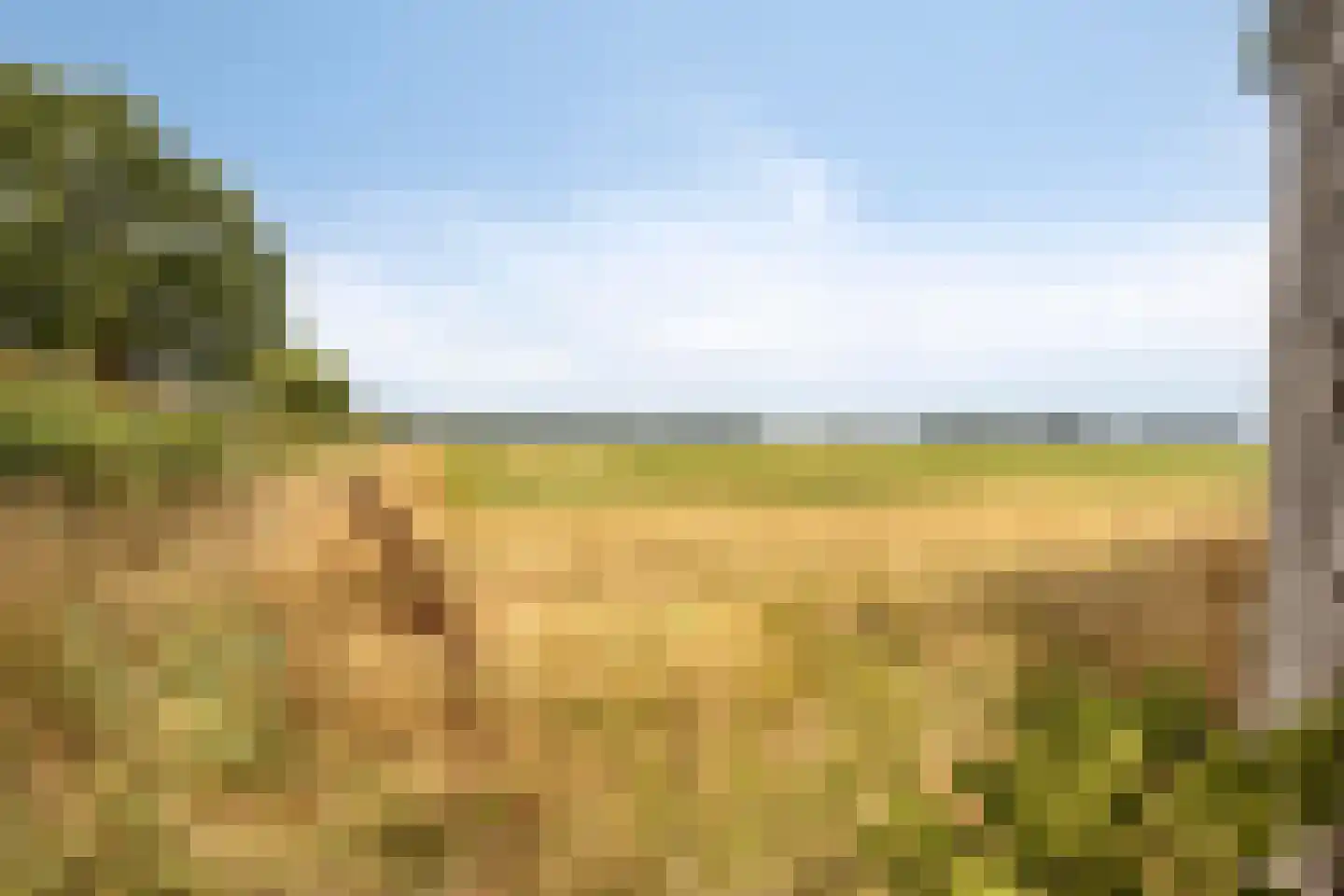De Mudde 8 Steenbergen thumbnail 38