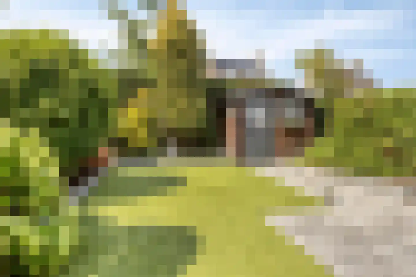 De Mudde 8 Steenbergen thumbnail 5