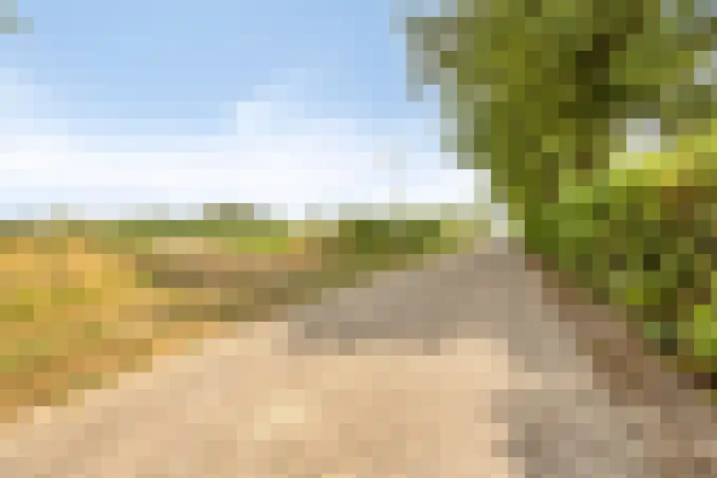 De Mudde 8 Steenbergen thumbnail 7