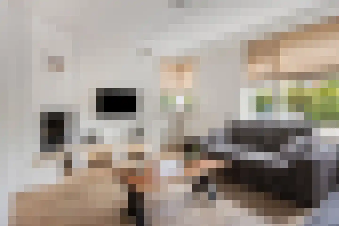 De Mudde 8 Steenbergen thumbnail 9