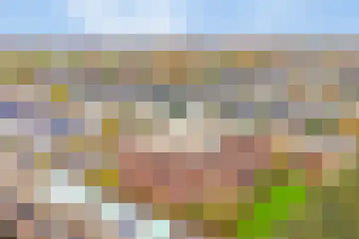 De Mui 37 Amersfoort thumbnail 26