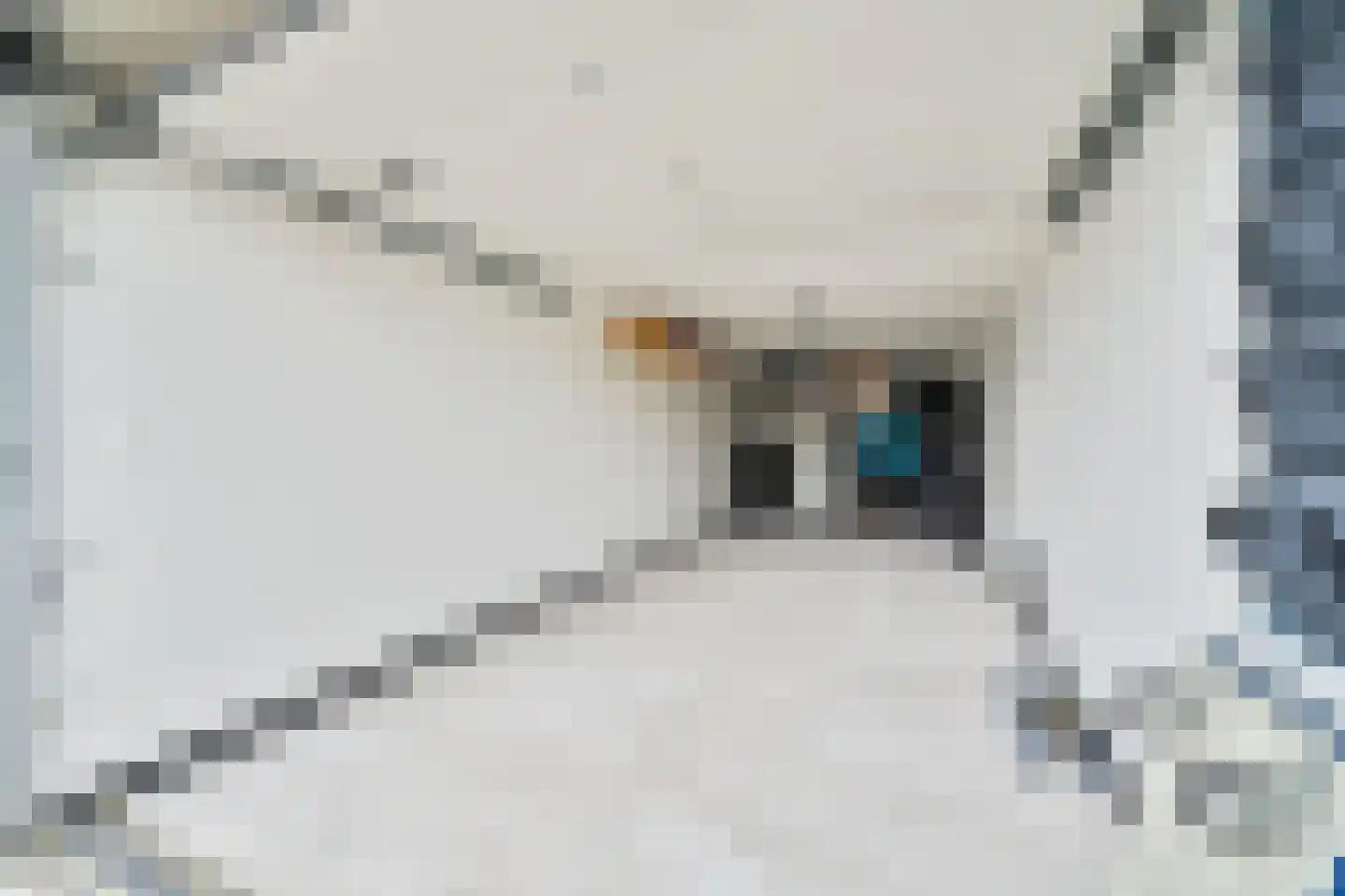 De Mui 4 Swifterbant foto 2