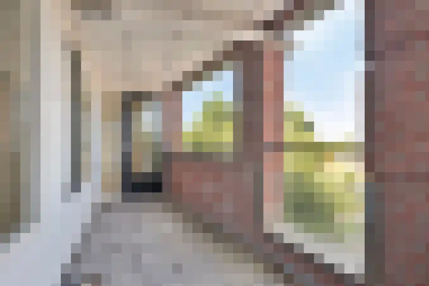 De Mui 43 Amersfoort thumbnail 14