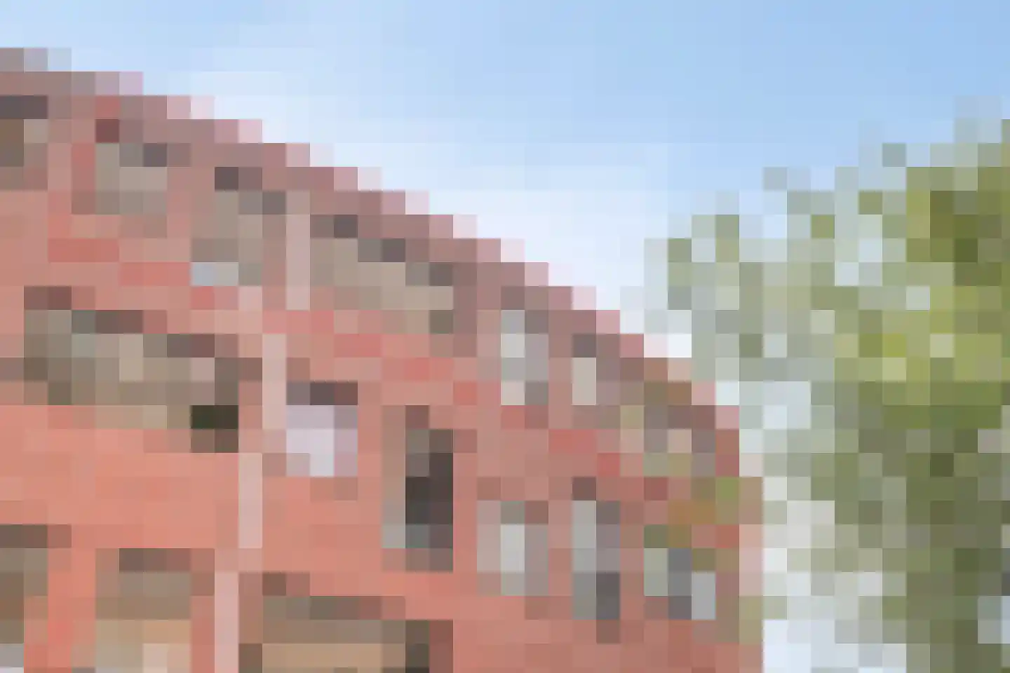 De Mui 43 Amersfoort thumbnail 26