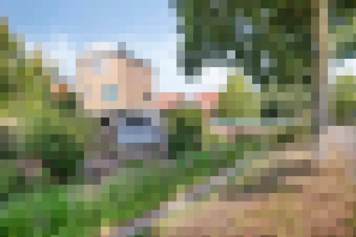 De Mui 43 Amersfoort thumbnail 29