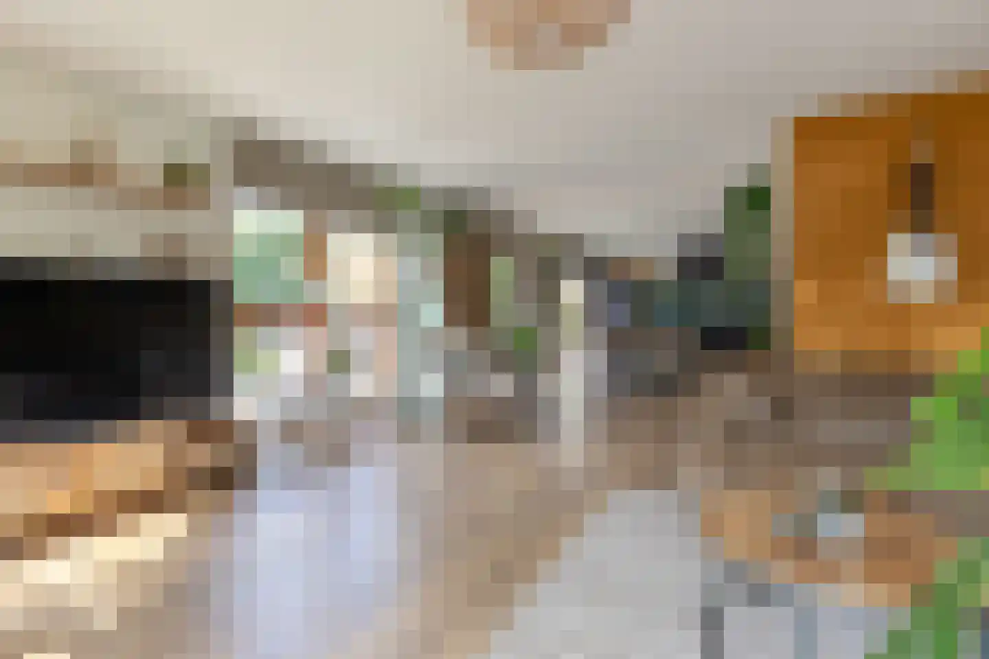 De Mui 53 Amersfoort thumbnail 11