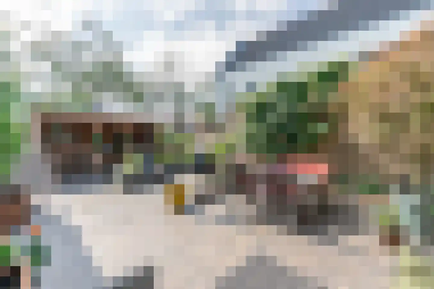De Mui 53 Amersfoort thumbnail 17