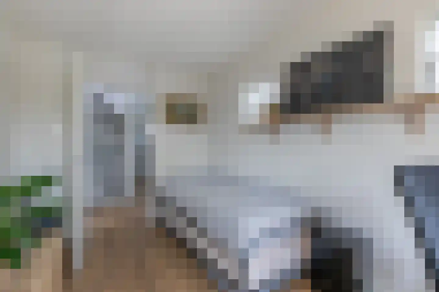 De Mui 53 Amersfoort thumbnail 24