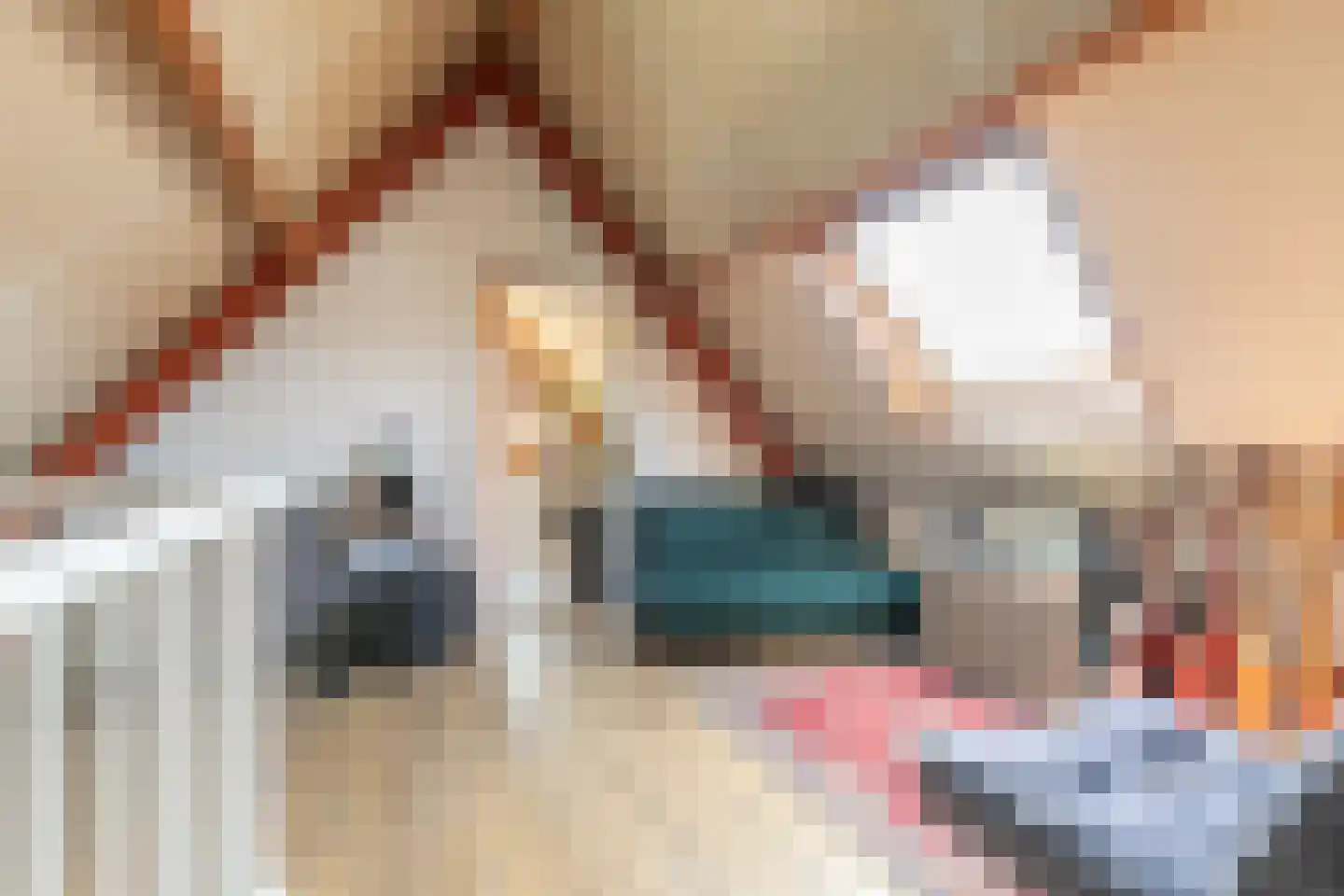 De Mui 53 Amersfoort thumbnail 31