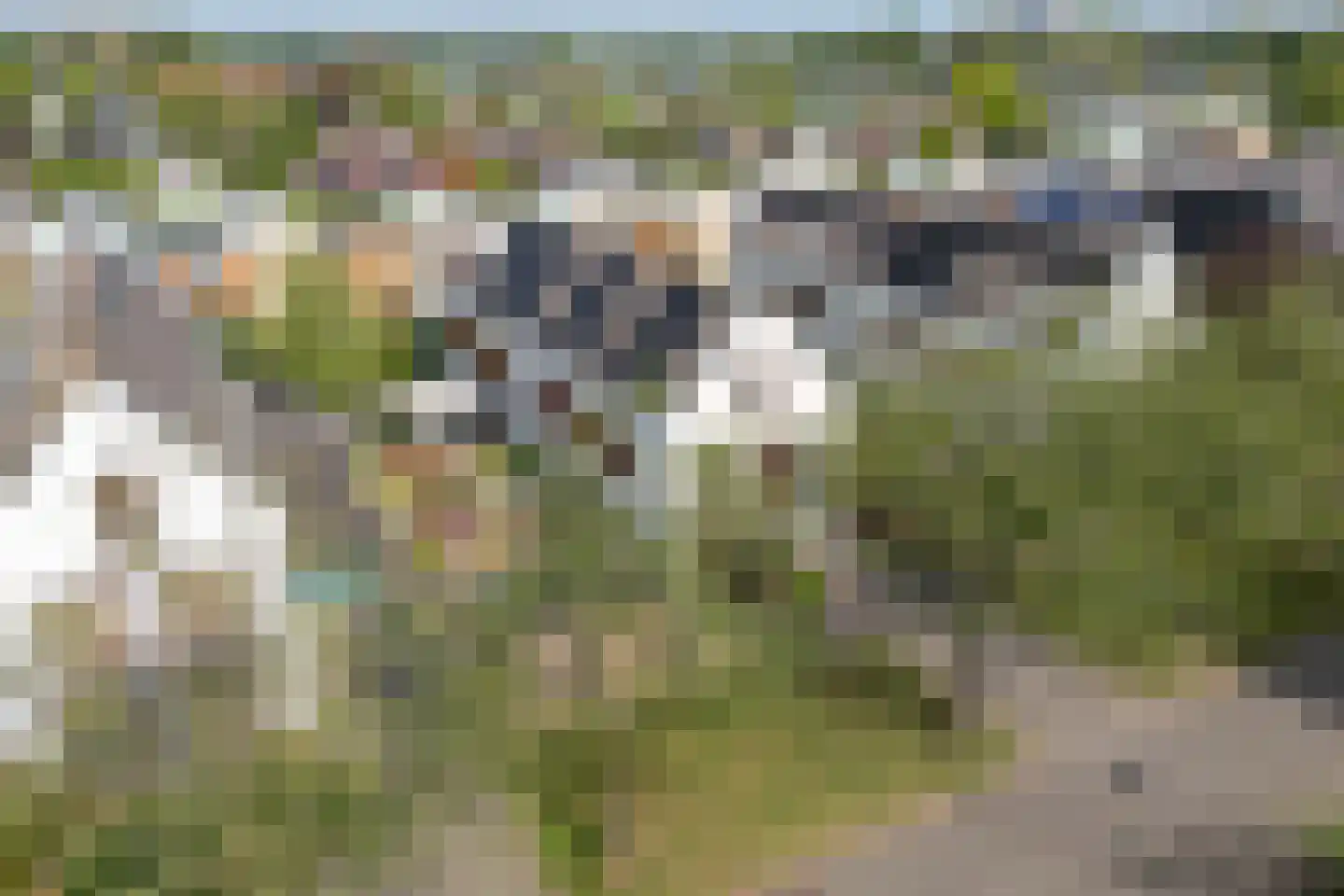 De Mui 53 Amersfoort thumbnail 37