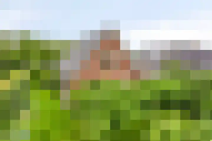 De Muijnhorn 20 Oosterwolde thumbnail 24