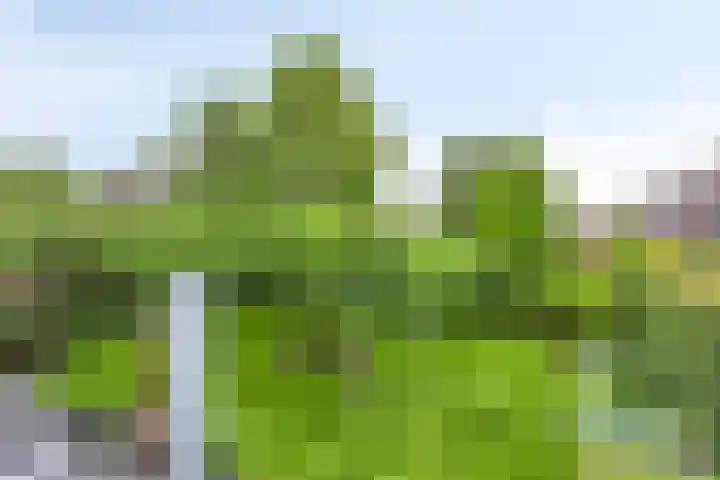 De Muijnhorn 20 Oosterwolde thumbnail 25