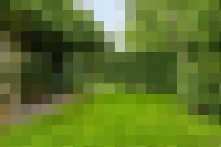 De Muijnhorn 20 Oosterwolde thumbnail 31