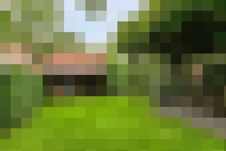 De Muijnhorn 20 Oosterwolde thumbnail 32