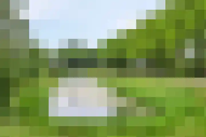 De Muijnhorn 20 Oosterwolde thumbnail 33