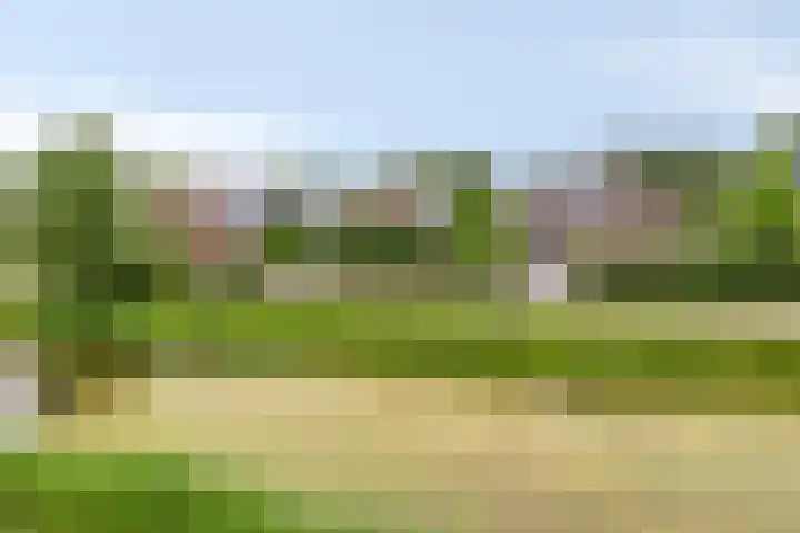 De Muijnhorn 20 Oosterwolde thumbnail 4