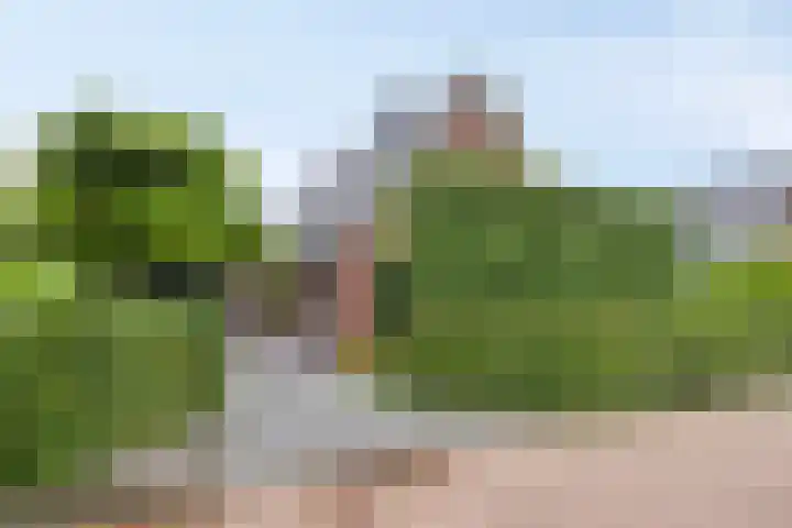 De Muijnhorn 20 Oosterwolde thumbnail 5