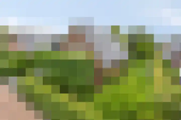 De Muijnhorn 20 Oosterwolde thumbnail 6